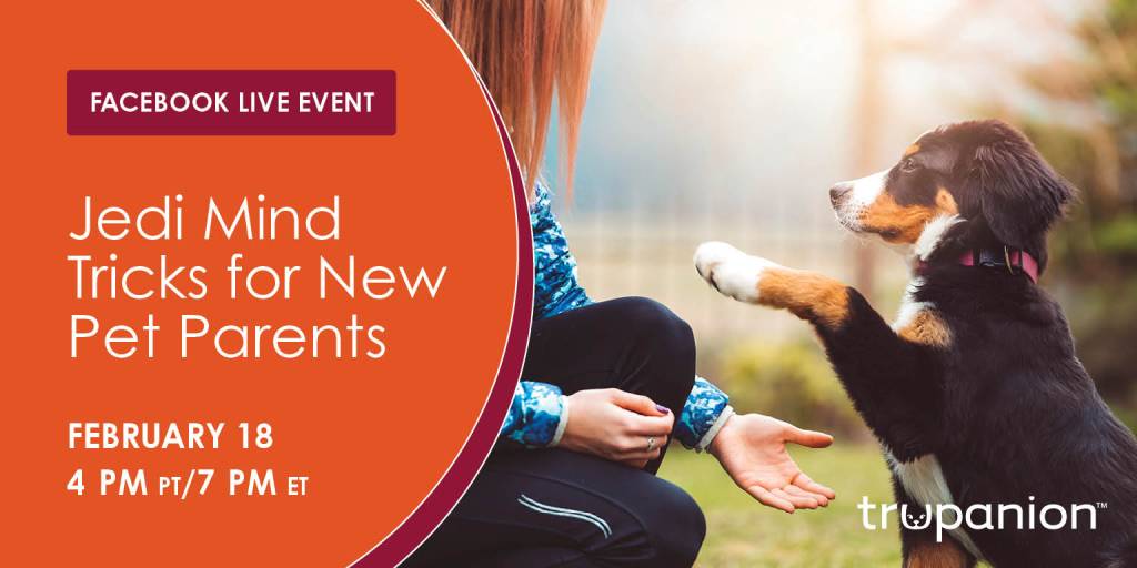 A social media ad for training webinars.