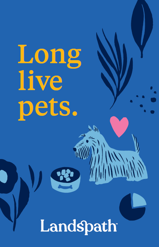 The brochure cover for Landspath.