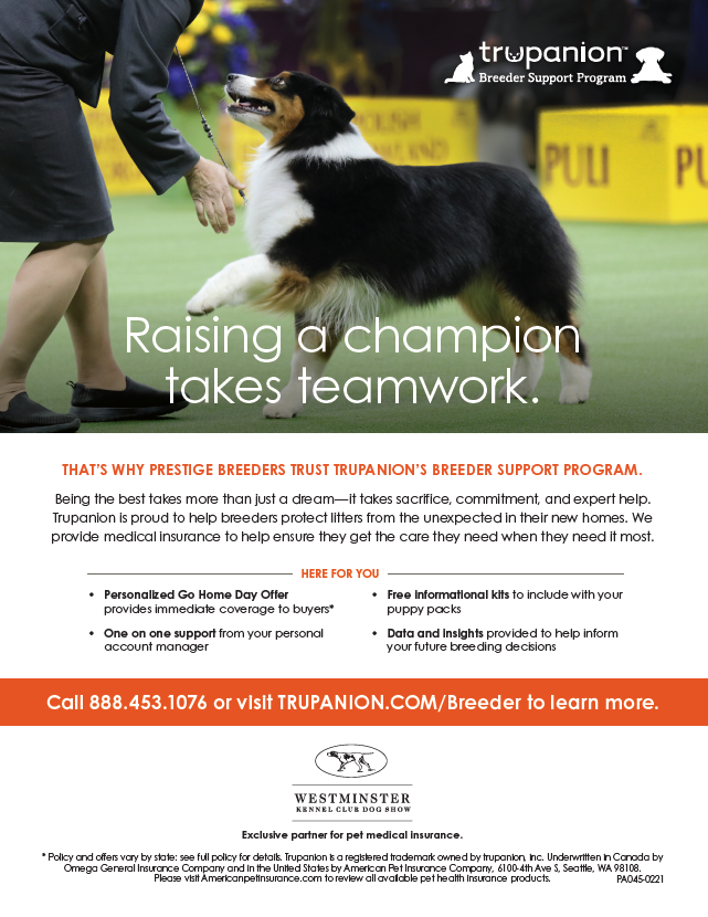 Full page ad for the Westminster Dog Show